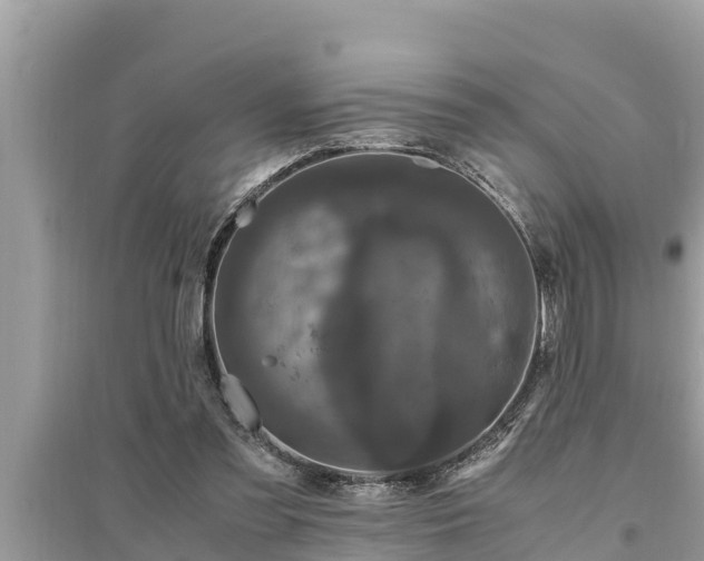 X0000095540301200712211353