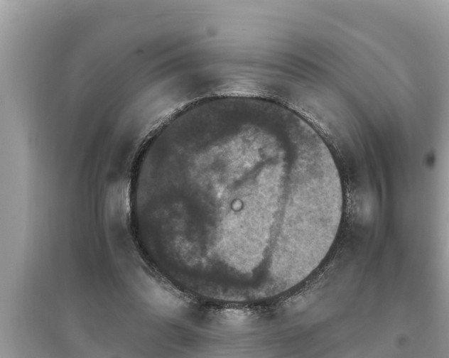 X0000095540302200712211353