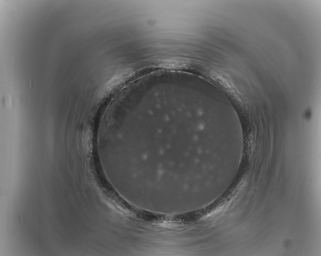 X0000095540303200712211353