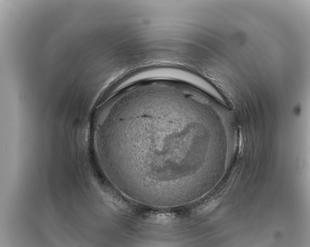 X0000095540304200712211353