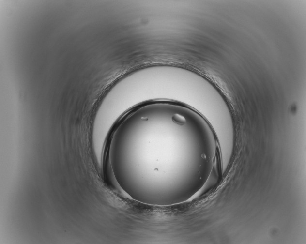 X0000095540305200712211353