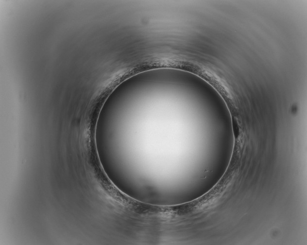 X0000095540306200712211353