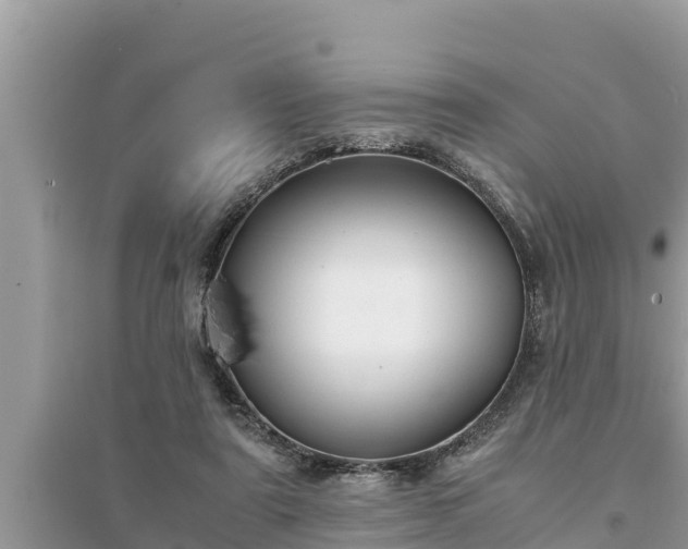 X0000095540307200712211353