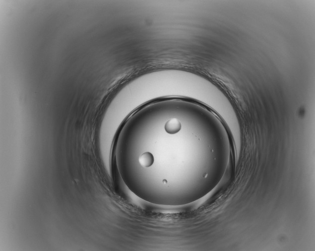 X0000095540308200712211353