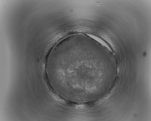 X0000095540309200712211353