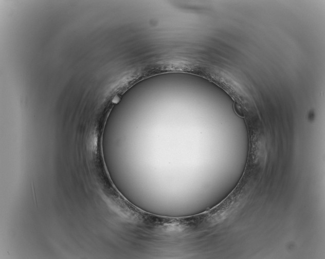 X0000095540310200712211353