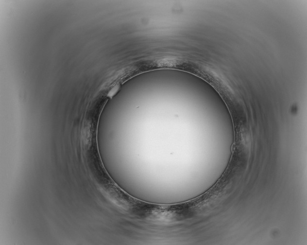 X0000095540311200712211353