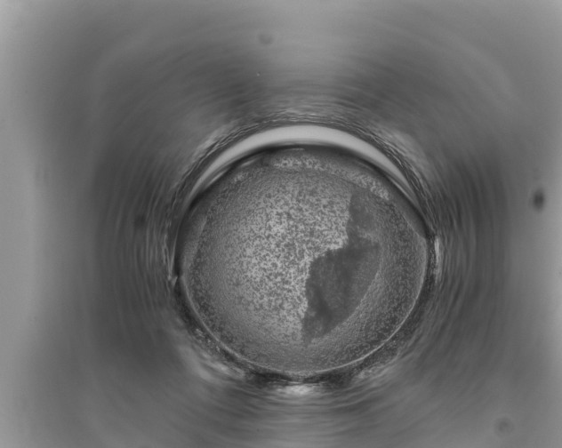 X0000095540312200712211353