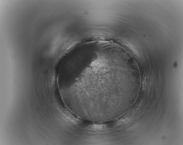 X0000095540314200712211353