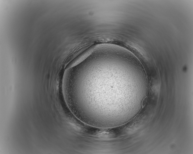 X0000095540315200712211353