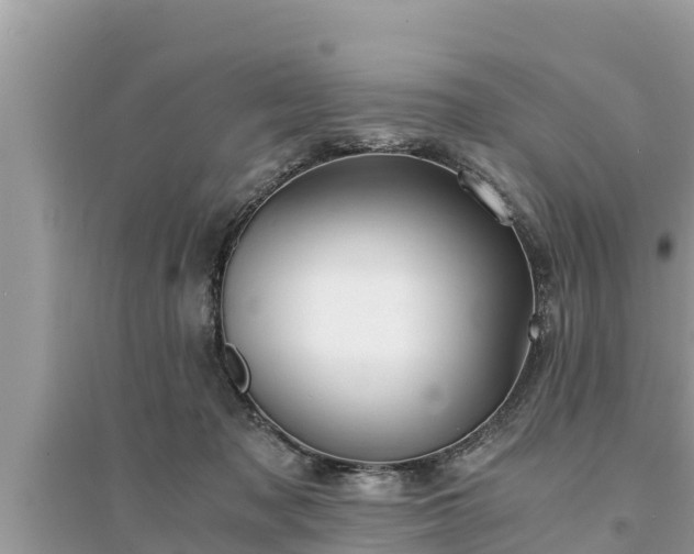 X0000095540317200712211353