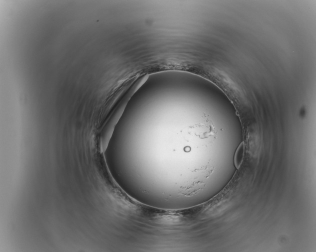 X0000095540318200712211353