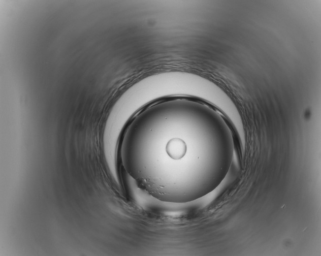 X0000095540320200712211353