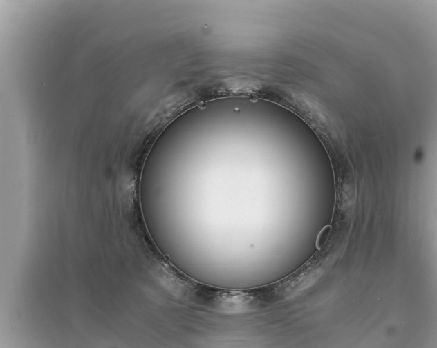 X0000095540321200712211353