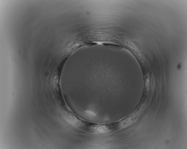 X0000095540322200712211353