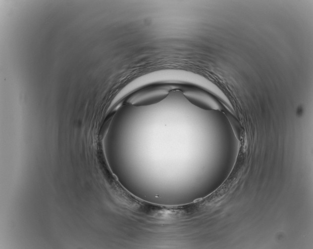 X0000095540323200712211353