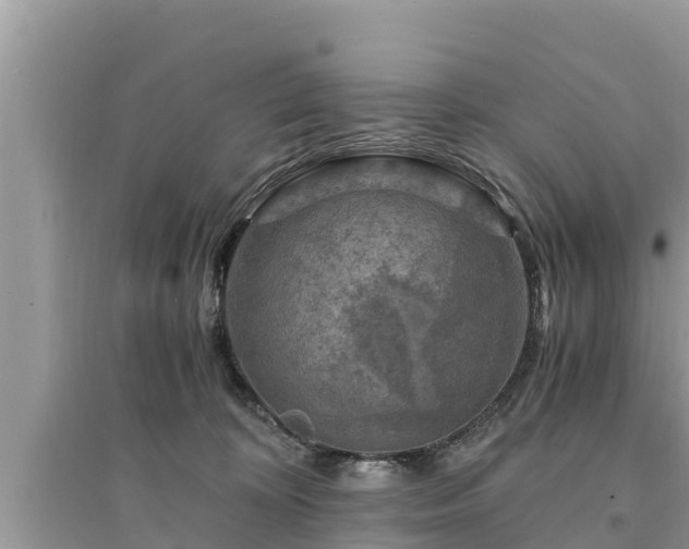 X0000095540324200712211353