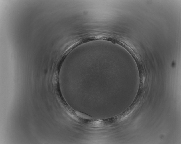 X0000095540325200712211353