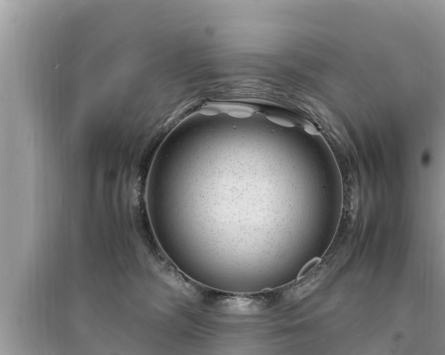 X0000095540326200712211353