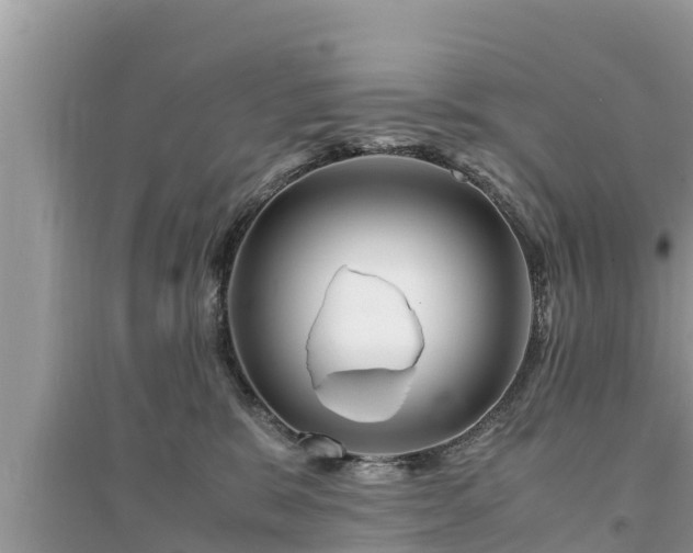 X0000095540327200712211353