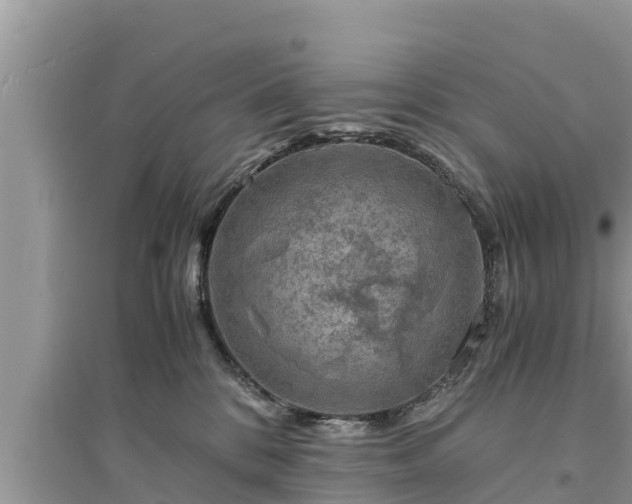 X0000095540328200712211353