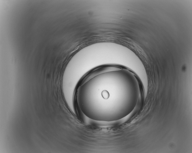 X0000095540329200712211353