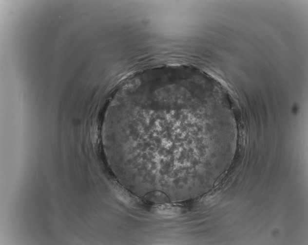 X0000095540331200712211353