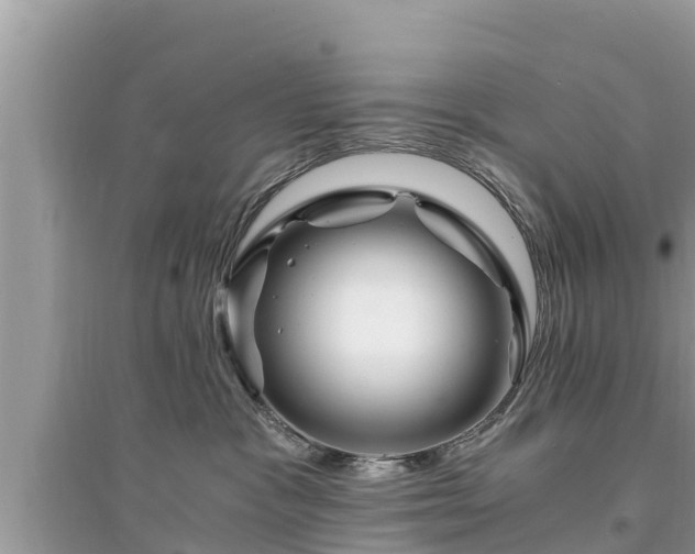 X0000095540333200712211353