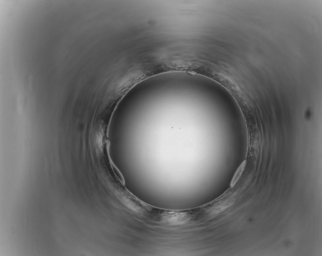 X0000095540334200712211353