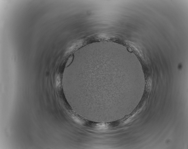 X0000095540335200712211353