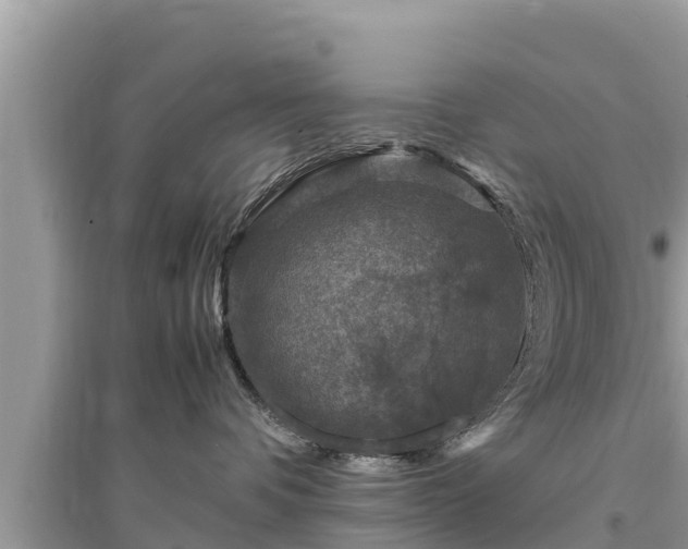 X0000095540336200712211353