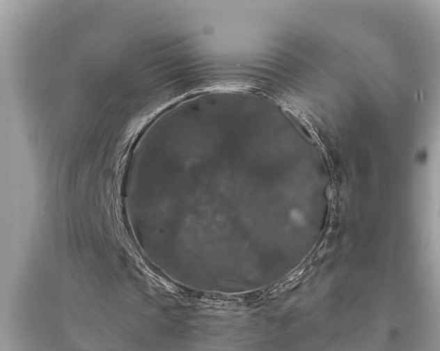 X0000095540337200712211352