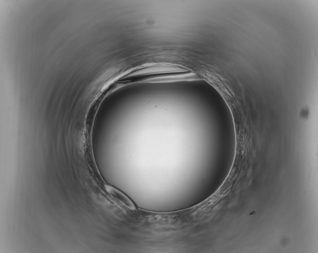 X0000095540338200712211352