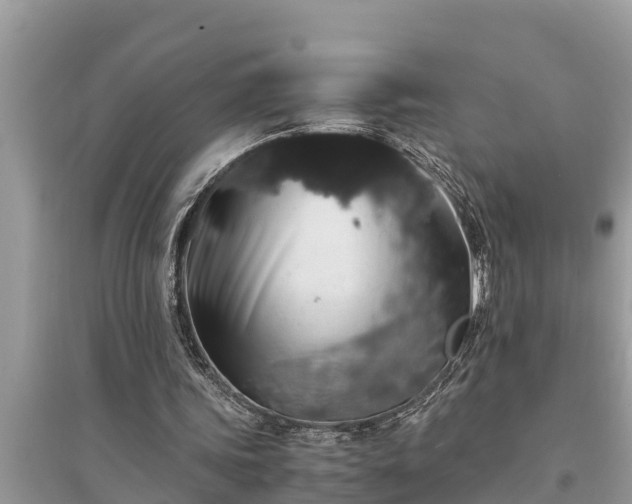 X0000095540339200712211352