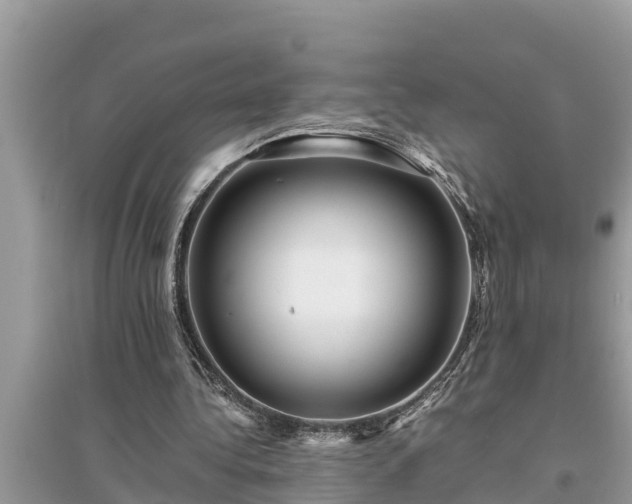 X0000095540340200712211352