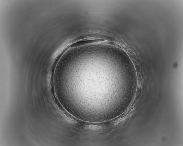 X0000095540341200712211352