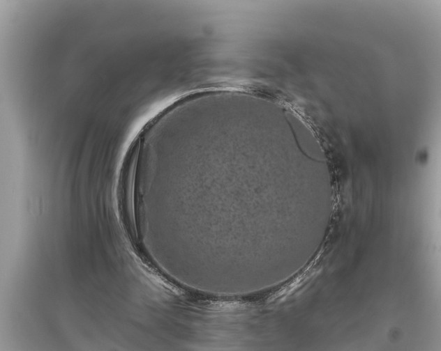 X0000095540342200712211352