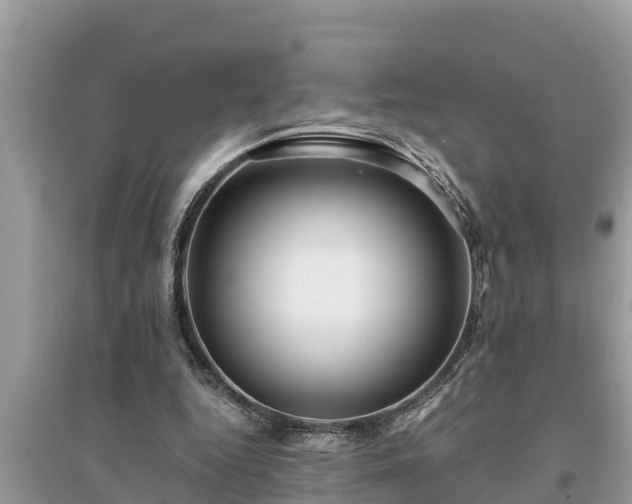 X0000095540344200712211352