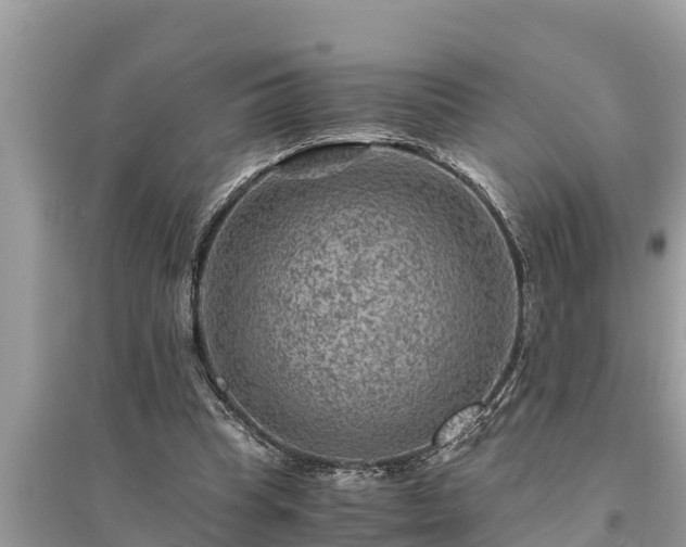 X0000095540345200712211352