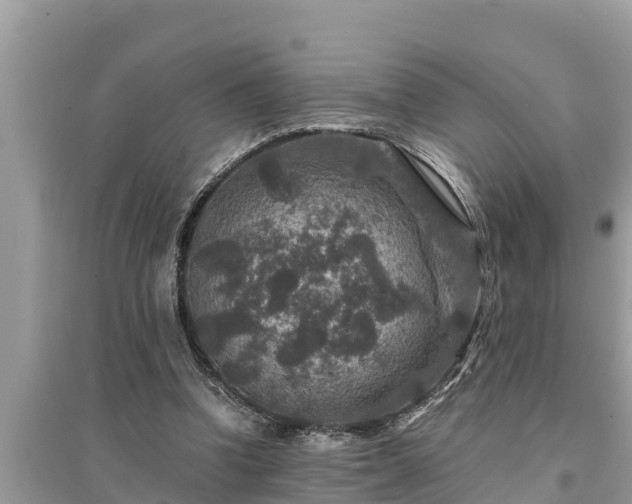 X0000095540346200712211352