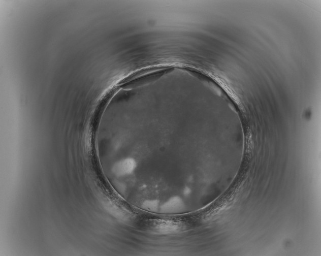 X0000095540347200712211352