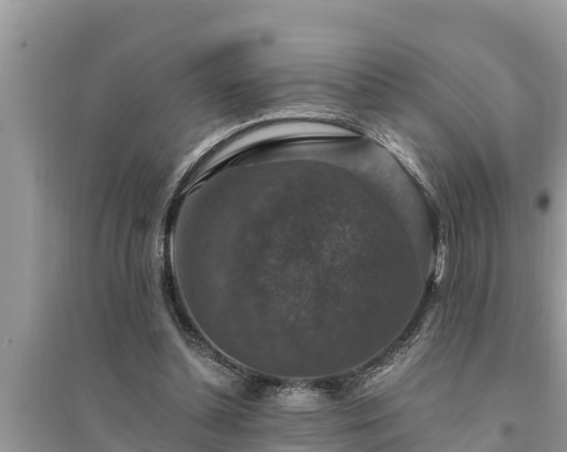 X0000095540348200712211352