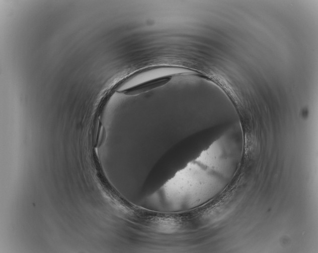 X0000095540349200712211352