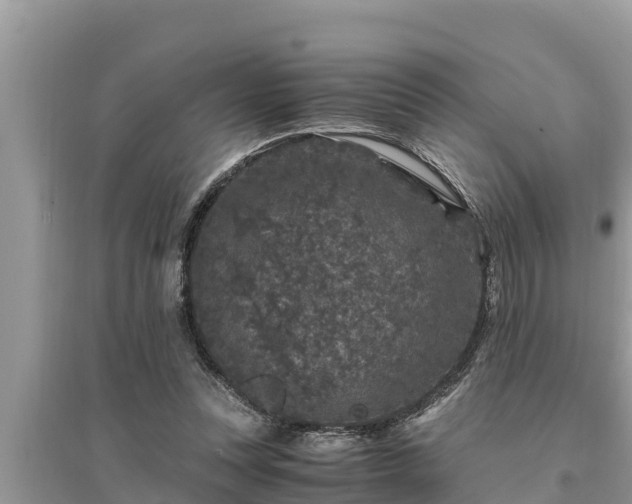 X0000095540351200712211353