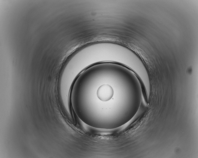 X0000095540352200712211353