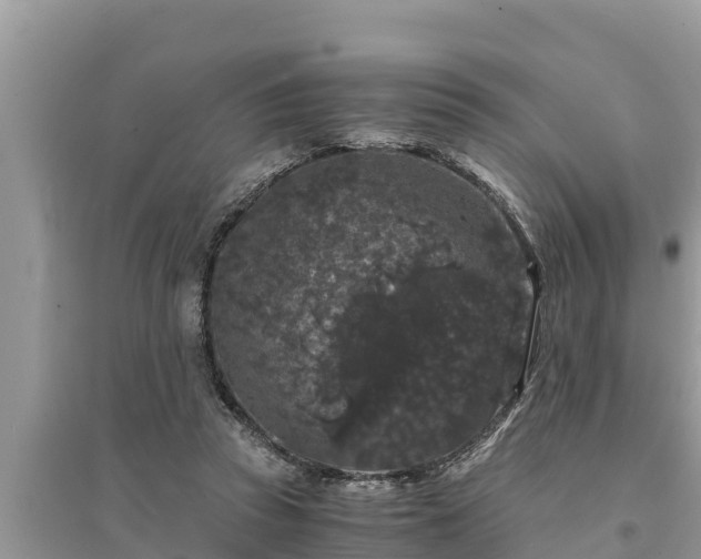 X0000095540353200712211353