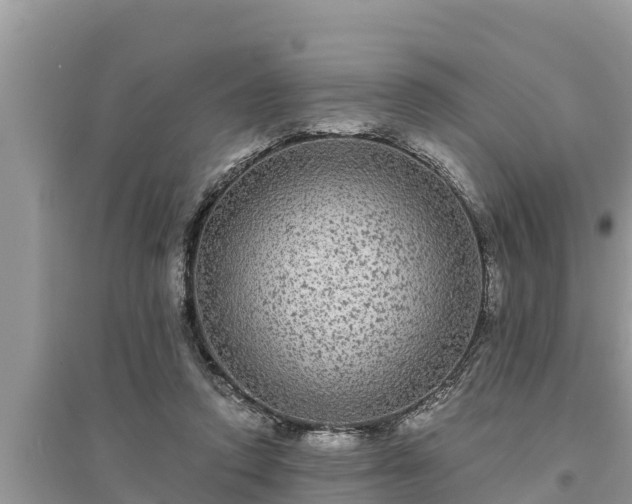 X0000095540354200712211353