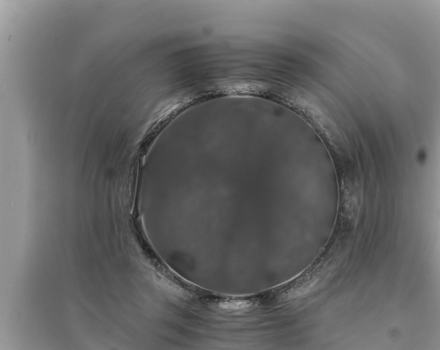 X0000095540357200712211353