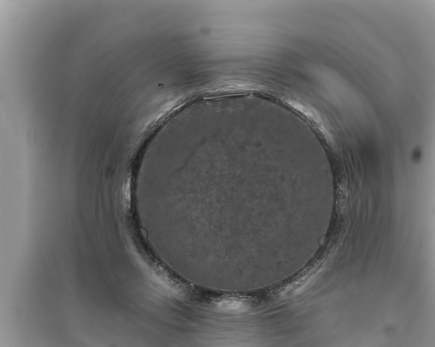 X0000095540358200712211353