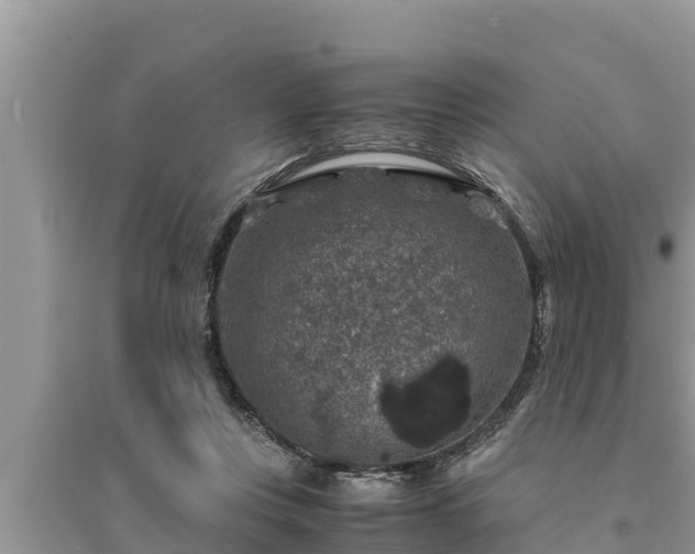 X0000095540359200712211353